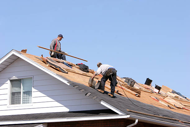 Best Sheet Metal Roofing  in Collinsville, VA